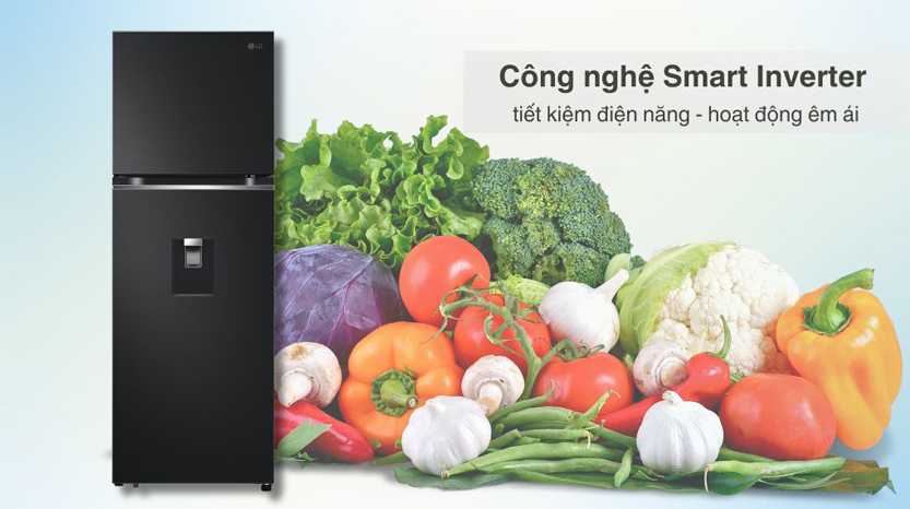 cong nghe smart inverter tu lanh lg ltd31blm