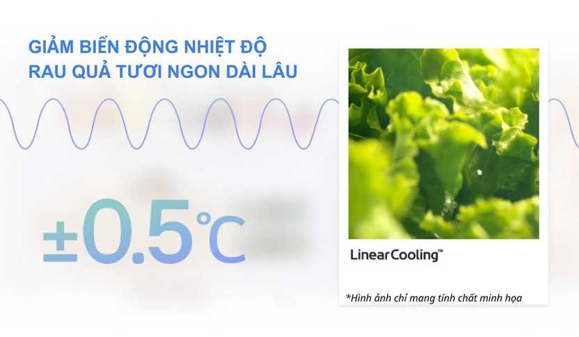 linearcooling tu lanh lg inverter 314 lit ltd31blm