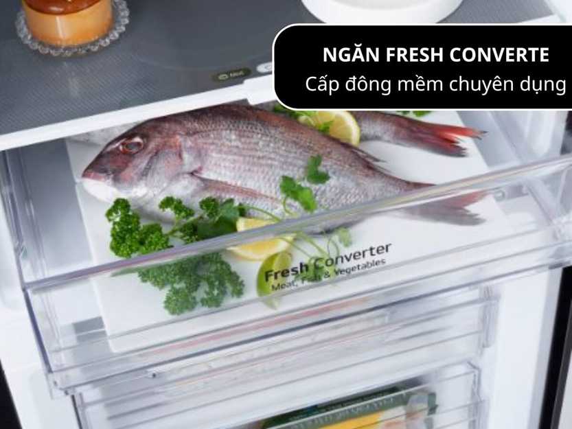 ngan dong mem fresh converter tu lanh lg lbb33blmai