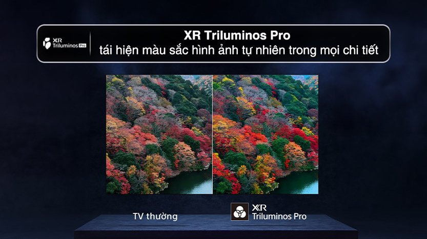 xr triluminos pro tivi sony 4k 55 inch oled